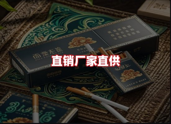 专业团队